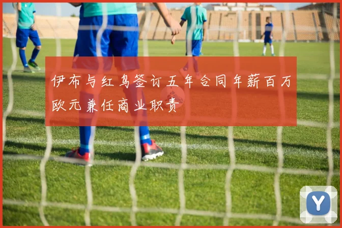 伊布与红鸟签订五年合同年薪百万欧元兼任商业职责