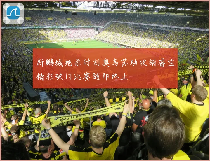 新鹏城绝杀时刻奥乌苏助攻胡睿宝精彩破门比赛随即终止