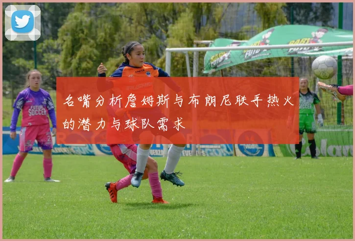 名嘴分析詹姆斯与布朗尼联手热火的潜力与球队需求